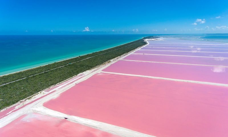 Pink Lakes Las Coloradas